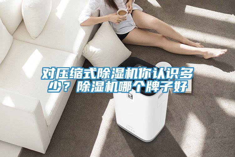 對(duì)壓縮式除濕機(jī)你認(rèn)識(shí)多少？除濕機(jī)哪個(gè)牌子好