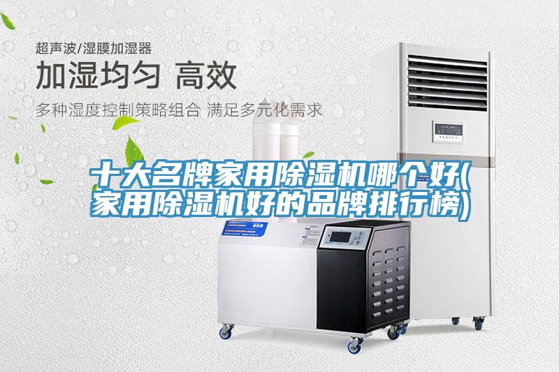 十大名牌家用除濕機(jī)哪個好(家用除濕機(jī)好的品牌排行榜)
