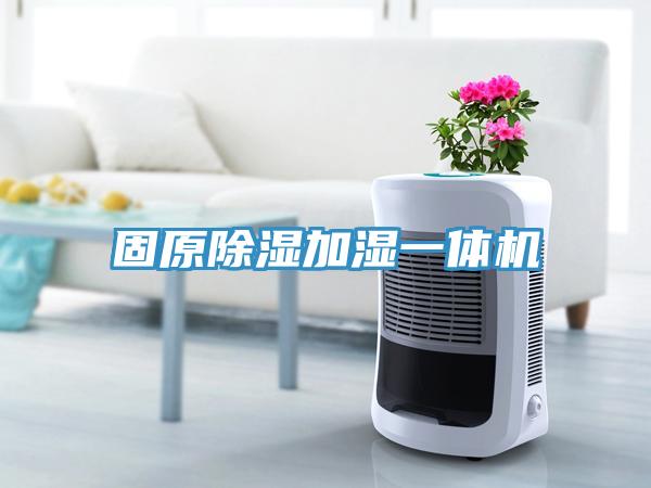 固原除濕加濕一體機(jī)