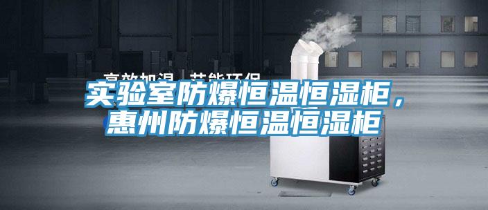 實驗室防爆恒溫恒濕柜，惠州防爆恒溫恒濕柜