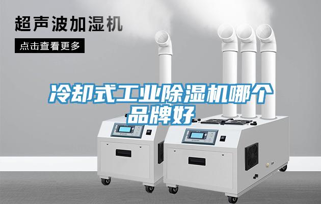 冷卻式工業(yè)除濕機(jī)哪個品牌好