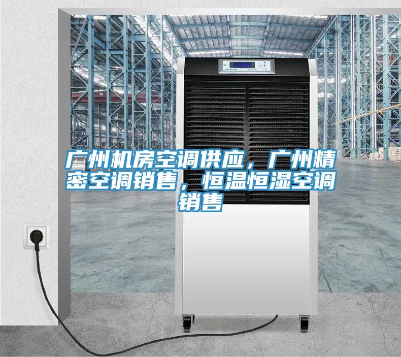 廣州機房空調(diào)供應(yīng)，廣州精密空調(diào)銷售，恒溫恒濕空調(diào)銷售
