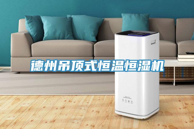 德州吊頂式恒溫恒濕機(jī)