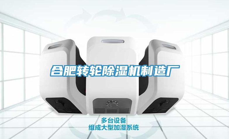合肥轉(zhuǎn)輪除濕機制造廠