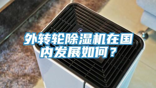 外轉(zhuǎn)輪除濕機在國內(nèi)發(fā)展如何？