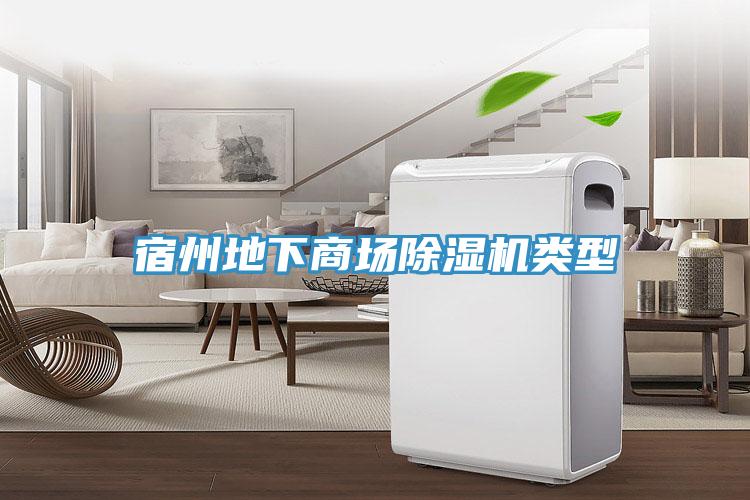 宿州地下商場(chǎng)除濕機(jī)類型