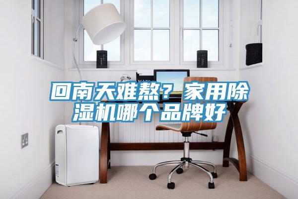 回南天難熬？家用除濕機哪個品牌好
