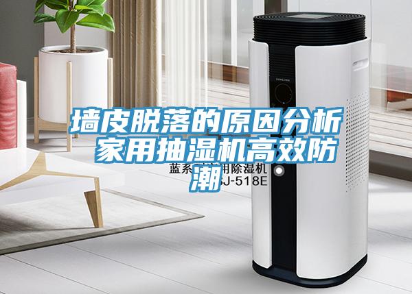 墻皮脫落的原因分析 家用抽濕機(jī)高效防潮