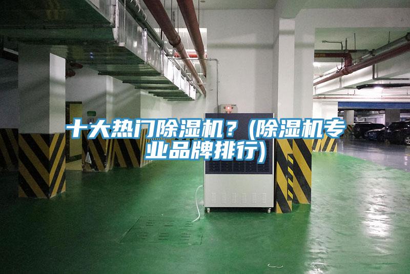 十大熱門除濕機(jī)？(除濕機(jī)專業(yè)品牌排行)