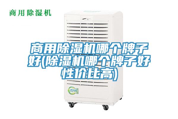 商用除濕機哪個牌子好(除濕機哪個牌子好性價比高)