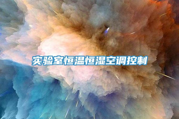 實(shí)驗(yàn)室恒溫恒濕空調(diào)控制