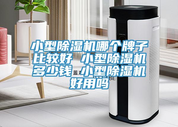小型除濕機(jī)哪個牌子比較好 小型除濕機(jī)多少錢 小型除濕機(jī)好用嗎