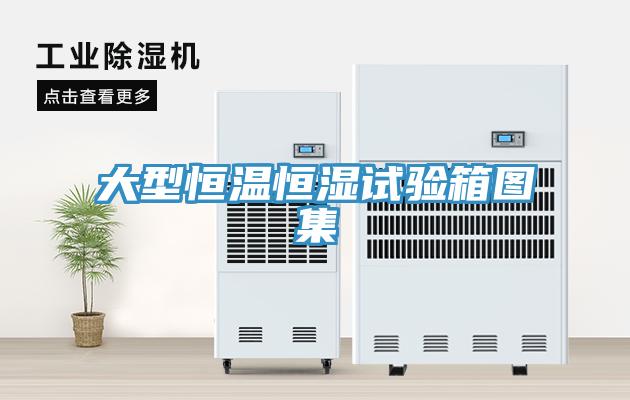 大型恒溫恒濕試驗(yàn)箱圖集