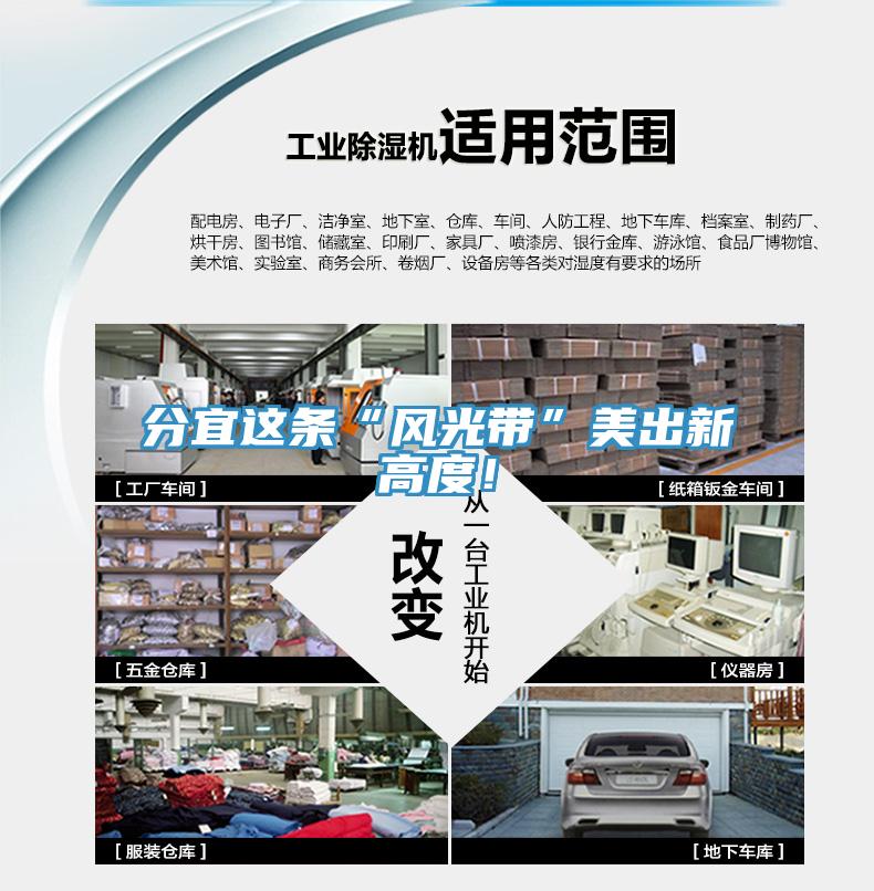 分宜這條“風光帶”美出新高度！