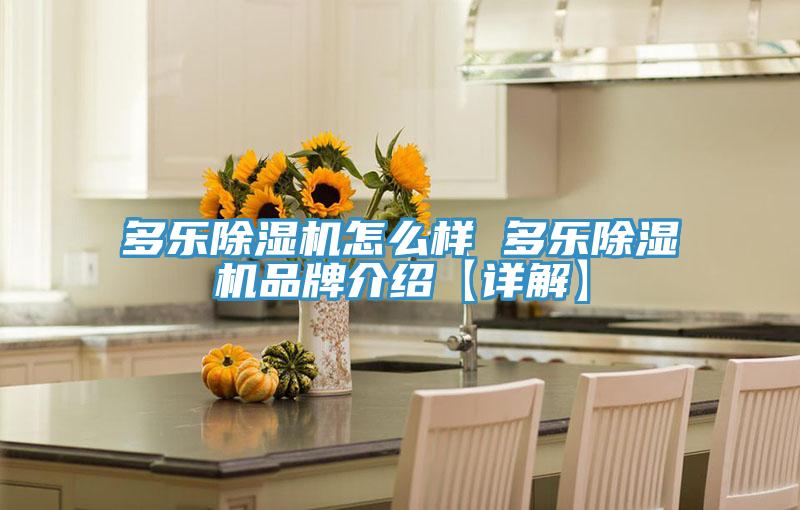 多樂(lè)除濕機(jī)怎么樣 多樂(lè)除濕機(jī)品牌介紹【詳解】