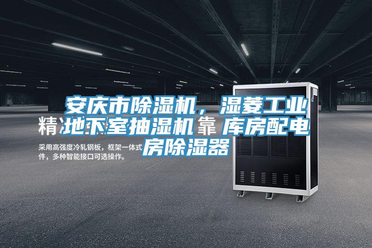 安慶市除濕機，濕菱工業(yè)地下室抽濕機  庫房配電房除濕器