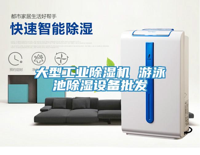 大型工業(yè)除濕機 游泳池除濕設(shè)備批發(fā)
