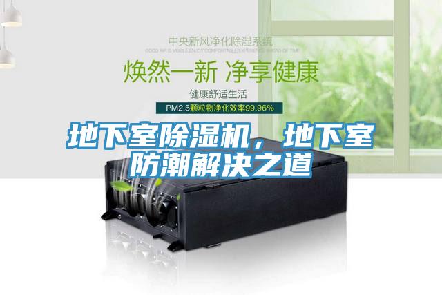 地下室除濕機，地下室防潮解決之道