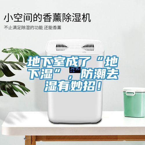 地下室成了“地下濕”，防潮去濕有妙招！