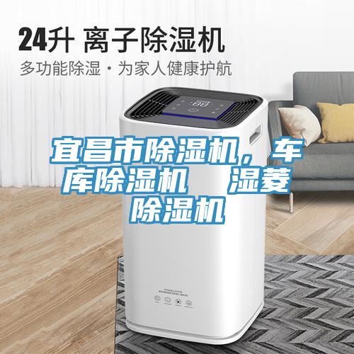 宜昌市除濕機，車庫除濕機  濕菱除濕機