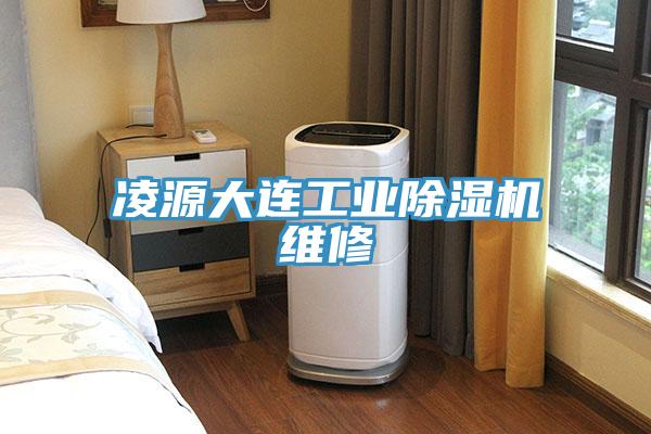凌源大連工業(yè)除濕機(jī)維修