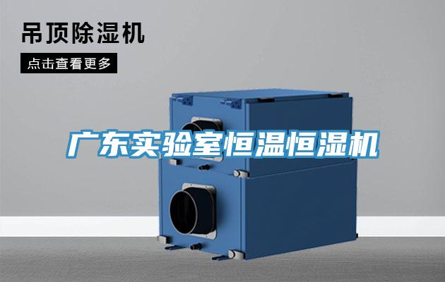 廣東實驗室恒溫恒濕機