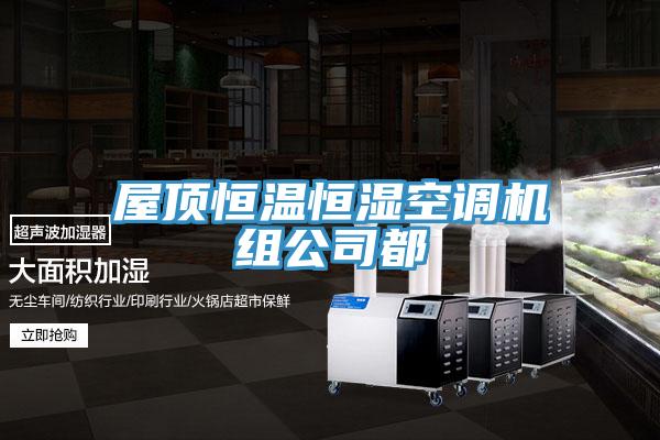屋頂恒溫恒濕空調(diào)機(jī)組公司都
