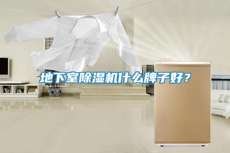 地下室除濕機(jī)什么牌子好？