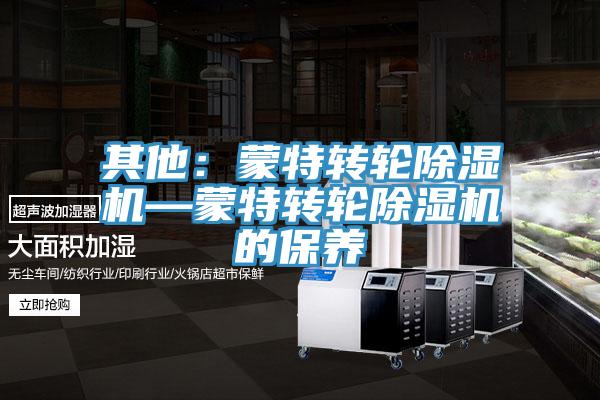 其他：蒙特轉(zhuǎn)輪除濕機(jī)—蒙特轉(zhuǎn)輪除濕機(jī)的保養(yǎng)