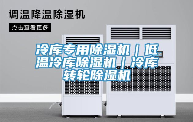 冷庫專用除濕機(jī)｜低溫冷庫除濕機(jī)｜冷庫轉(zhuǎn)輪除濕機(jī)