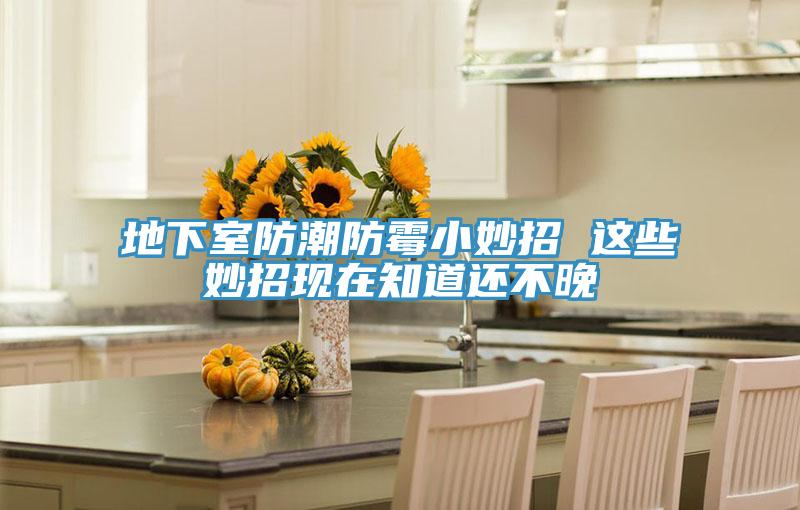 地下室防潮防霉小妙招 這些妙招現(xiàn)在知道還不晚
