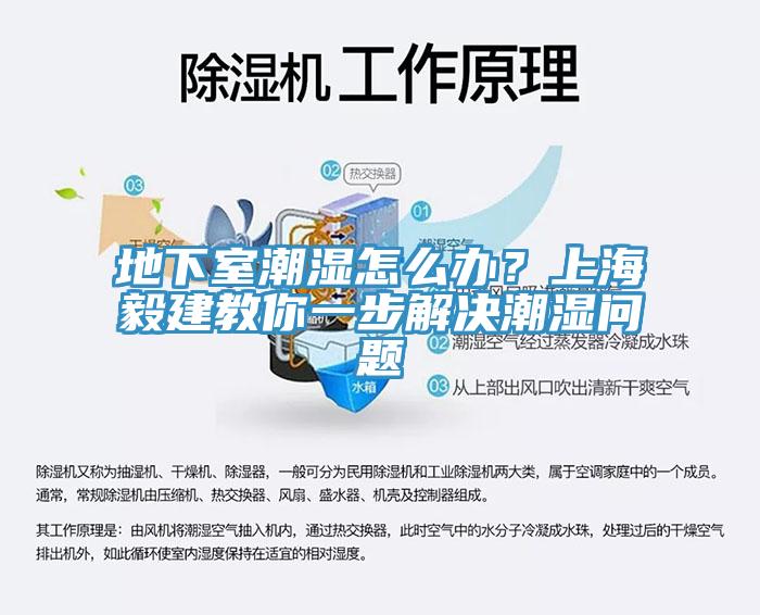 地下室潮濕怎么辦？上海毅建教你一步解決潮濕問題