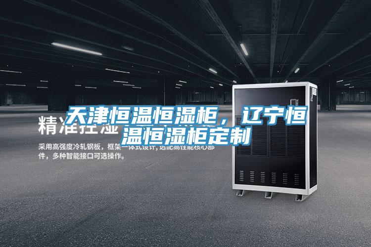 天津恒溫恒濕柜，遼寧恒溫恒濕柜定制