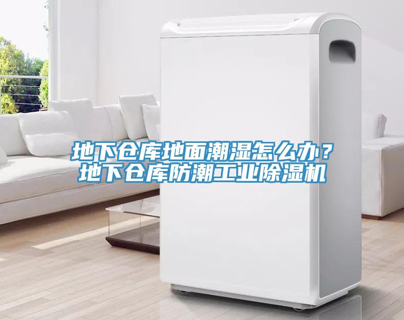 地下倉(cāng)庫(kù)地面潮濕怎么辦？地下倉(cāng)庫(kù)防潮工業(yè)除濕機(jī)