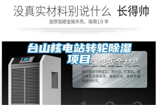 臺(tái)山核電站轉(zhuǎn)輪除濕項(xiàng)目