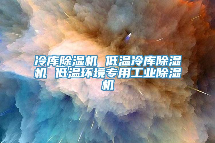 冷庫(kù)除濕機(jī) 低溫冷庫(kù)除濕機(jī) 低溫環(huán)境專用工業(yè)除濕機(jī)
