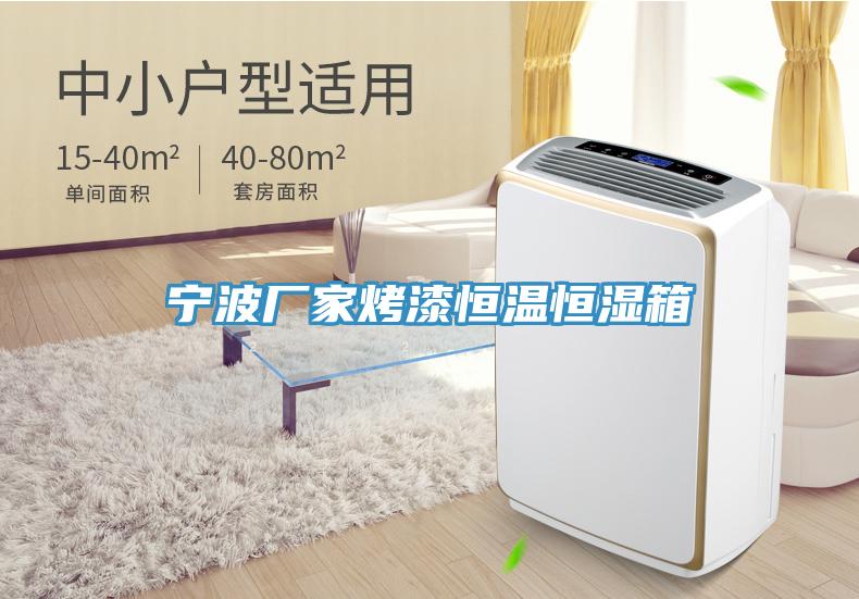 寧波廠家烤漆恒溫恒濕箱