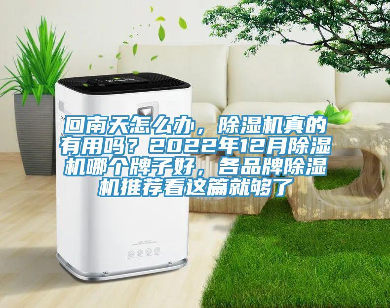 回南天怎么辦，除濕機真的有用嗎？2022年12月除濕機哪個牌子好，各品牌除濕機推薦看這篇就夠了