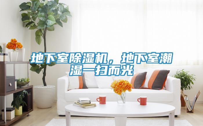 地下室除濕機，地下室潮濕一掃而光