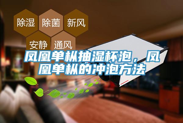 鳳凰單樅抽濕杯泡，鳳凰單樅的沖泡方法