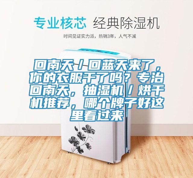 回南天／回藍天來了，你的衣服干了嗎？專治回南天，抽濕機／烘干機推薦，哪個牌子好這里看過來
