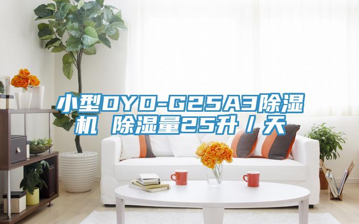 小型DYD-G25A3除濕機(jī) 除濕量25升／天