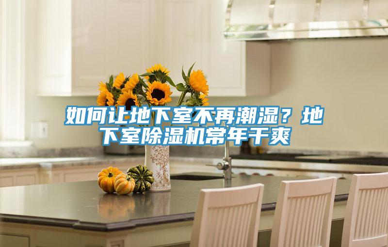 如何讓地下室不再潮濕？地下室除濕機常年干爽