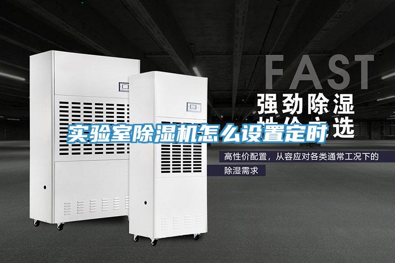 實驗室除濕機怎么設置定時