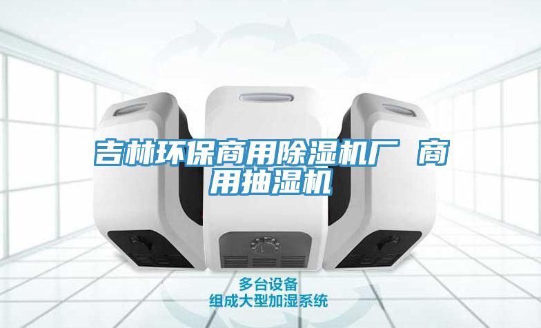 吉林環(huán)保商用除濕機(jī)廠(chǎng) 商用抽濕機(jī)