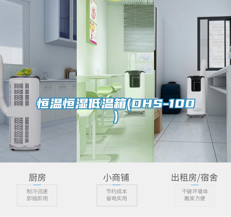 恒溫恒濕低溫箱(DHS-100)