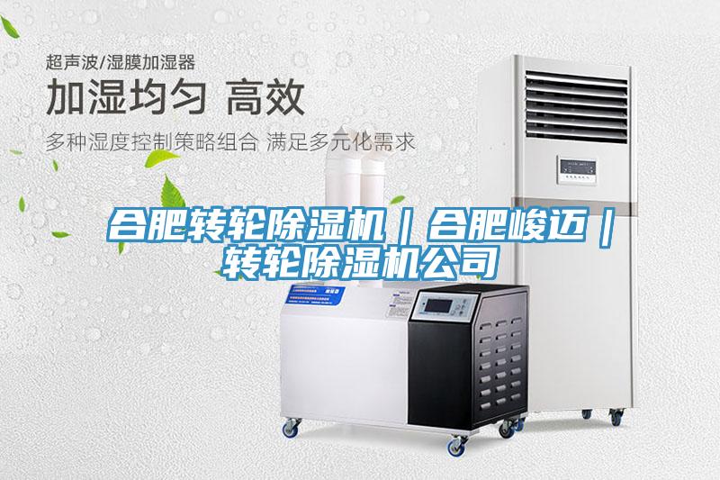 合肥轉(zhuǎn)輪除濕機｜合肥峻邁｜轉(zhuǎn)輪除濕機公司