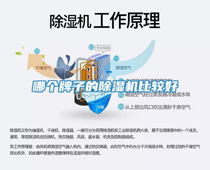 哪個牌子的除濕機比較好
