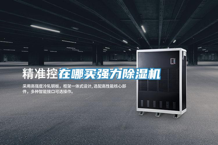 在哪買(mǎi)強(qiáng)力除濕機(jī)