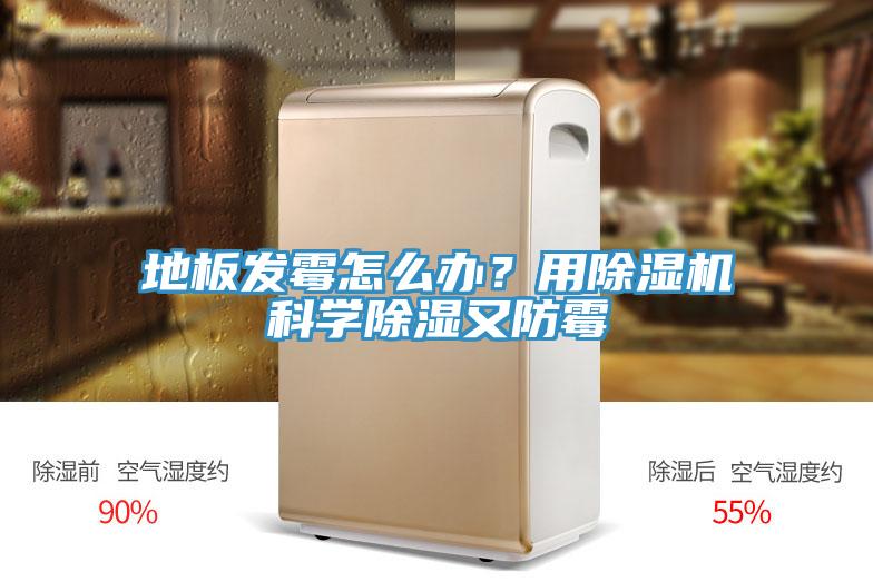 地板發(fā)霉怎么辦？用除濕機科學(xué)除濕又防霉